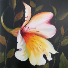Inkalilienblüte